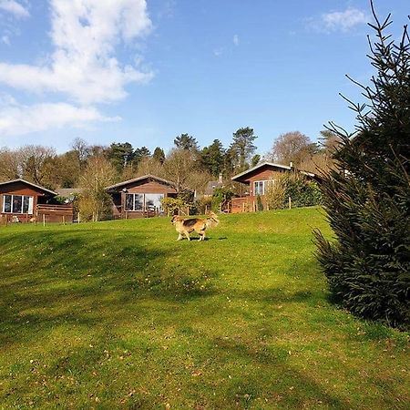 Rudyard Lake Lodges Dış mekan fotoğraf