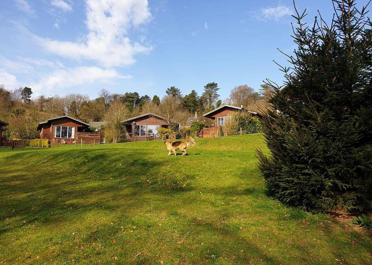 Rudyard Lake Lodges Dış mekan fotoğraf